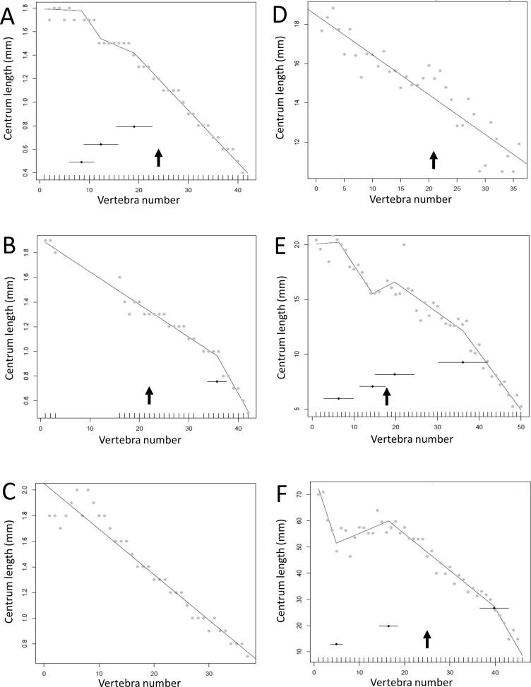 https://cdn.ncbi.nlm.nih.gov/pmc/blobs/6030/7891087/ae18f77cf94c/peerj-09-10721-g013.jpg