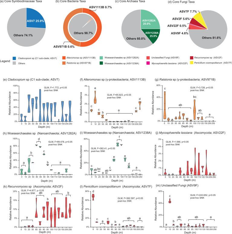 https://cdn.ncbi.nlm.nih.gov/pmc/blobs/6032/10883803/b148fe5e7aca/spectrum.00531-23.f005.jpg
