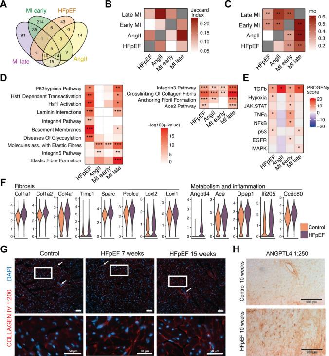 https://cdn.ncbi.nlm.nih.gov/pmc/blobs/6032/11628589/76a50f7e90f3/395_2024_1074_Fig3_HTML.jpg