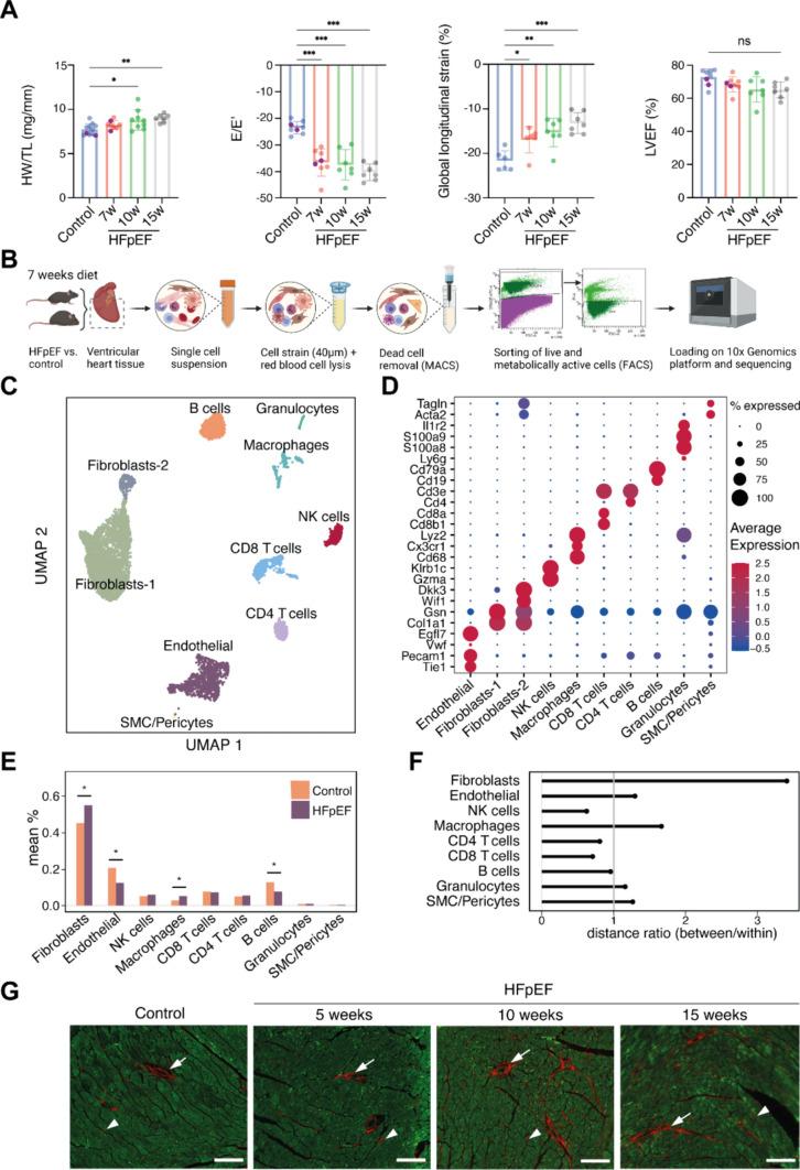 https://cdn.ncbi.nlm.nih.gov/pmc/blobs/6032/11628589/d69678360bb2/395_2024_1074_Fig1_HTML.jpg