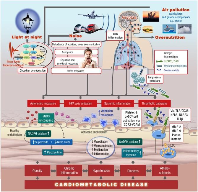 https://cdn.ncbi.nlm.nih.gov/pmc/blobs/6032/9648835/3ec9be675352/cvab316f5.jpg