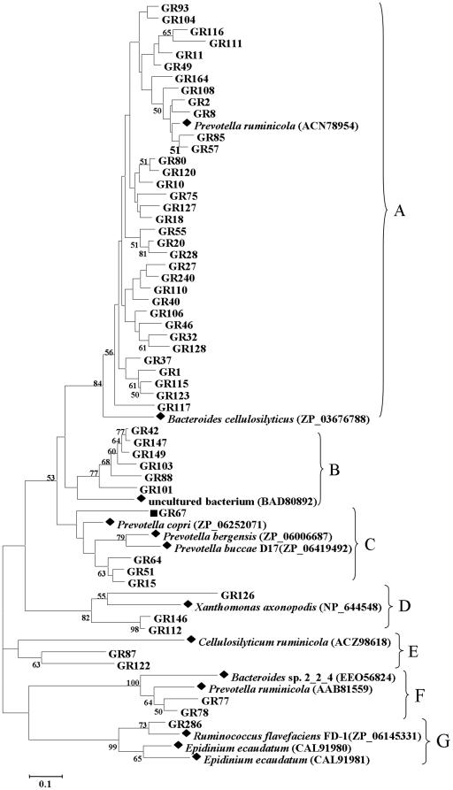 https://cdn.ncbi.nlm.nih.gov/pmc/blobs/6033/3033422/b393a9088952/pone.0016731.g001.jpg