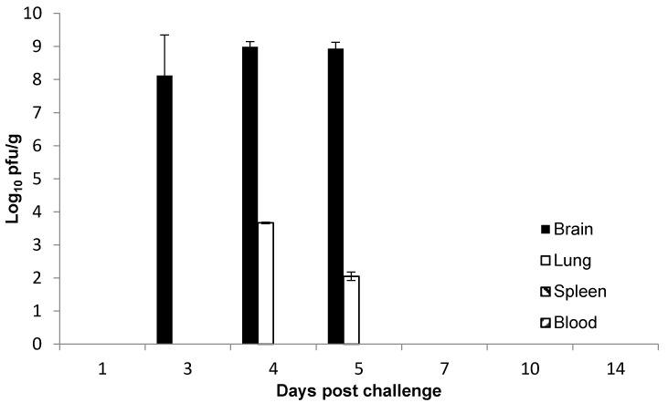 https://cdn.ncbi.nlm.nih.gov/pmc/blobs/6034/5537655/f6701a131bd2/viruses-09-00163-g003.jpg
