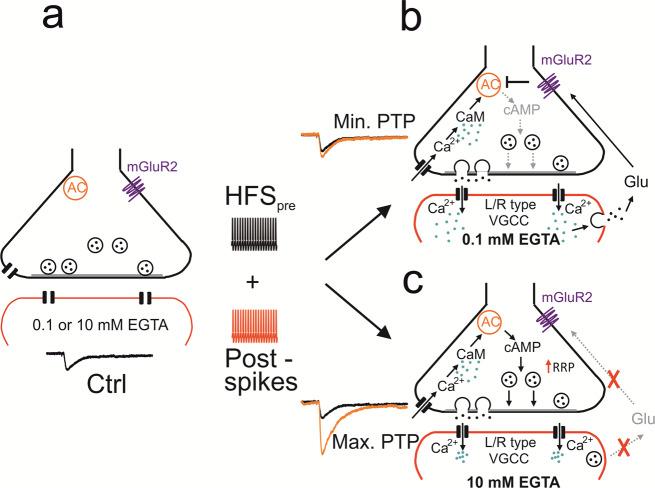 https://cdn.ncbi.nlm.nih.gov/pmc/blobs/6034/8131630/b1186ebf8a63/41467_2021_23153_Fig5_HTML.jpg
