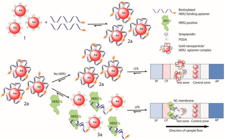 https://cdn.ncbi.nlm.nih.gov/pmc/blobs/6035/9102172/b430e9bc5b25/sensors-22-03221-g009.jpg