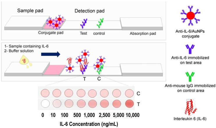 https://cdn.ncbi.nlm.nih.gov/pmc/blobs/6035/9102172/fe0b95987e8c/sensors-22-03221-g007.jpg