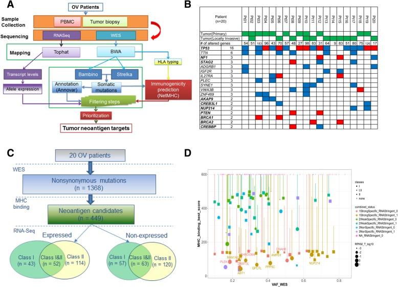 https://cdn.ncbi.nlm.nih.gov/pmc/blobs/6037/6587259/8ae70cb2240f/40425_2019_629_Fig1_HTML.jpg