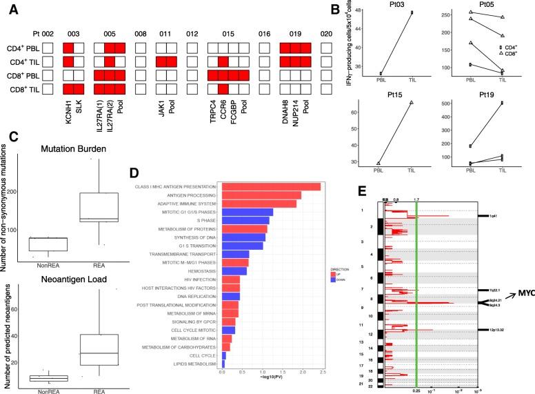 https://cdn.ncbi.nlm.nih.gov/pmc/blobs/6037/6587259/ebdce3a49df0/40425_2019_629_Fig2_HTML.jpg