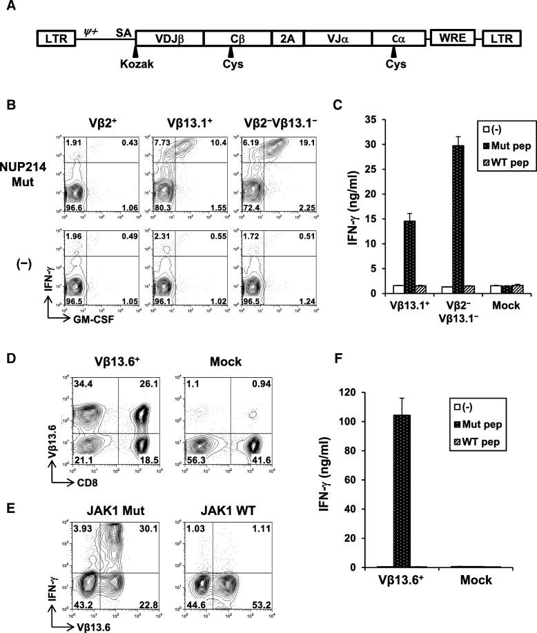 https://cdn.ncbi.nlm.nih.gov/pmc/blobs/6037/6587259/edd57194965e/40425_2019_629_Fig5_HTML.jpg