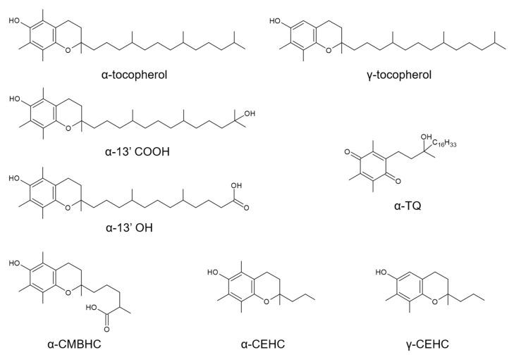 https://cdn.ncbi.nlm.nih.gov/pmc/blobs/6037/7912187/8844f4a2f630/antioxidants-10-00173-g001.jpg