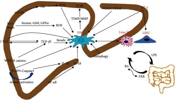 https://cdn.ncbi.nlm.nih.gov/pmc/blobs/6037/9071861/93277b6d4d4e/ECAM2022-5325431.001.jpg