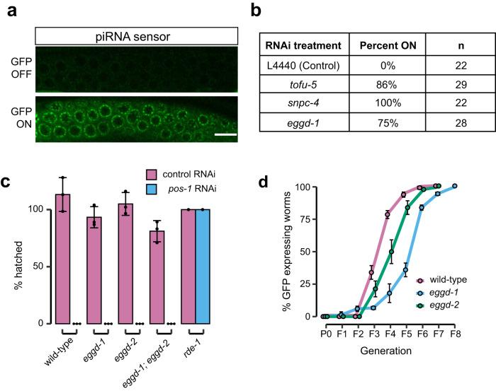https://cdn.ncbi.nlm.nih.gov/pmc/blobs/603a/10520050/4e7f52b69f0e/41467_2023_41556_Fig4_HTML.jpg