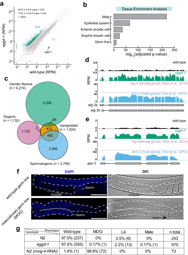 https://cdn.ncbi.nlm.nih.gov/pmc/blobs/603a/10520050/4ebf25ecbe58/41467_2023_41556_Fig5_HTML.jpg