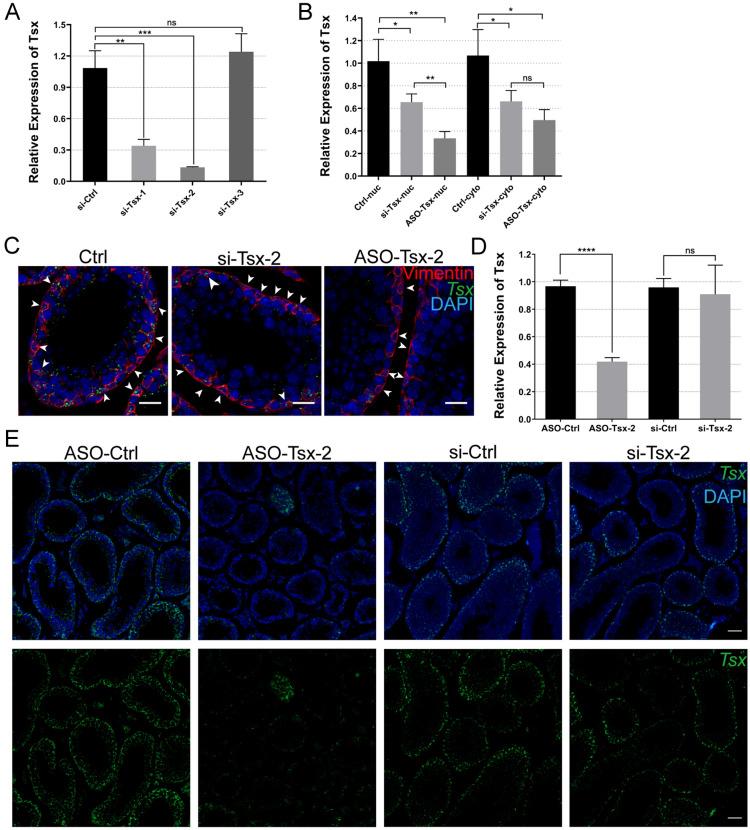 https://cdn.ncbi.nlm.nih.gov/pmc/blobs/603a/8684201/a2923cec0e78/13578_2021_717_Fig3_HTML.jpg