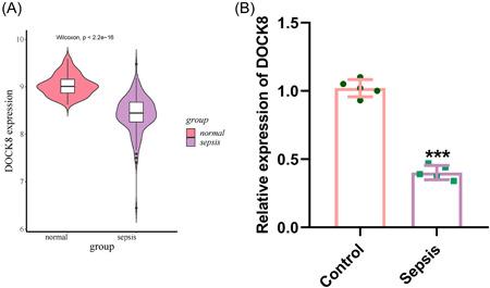 https://cdn.ncbi.nlm.nih.gov/pmc/blobs/603b/10461417/3fc661d24c67/IID3-11-e965-g001.jpg