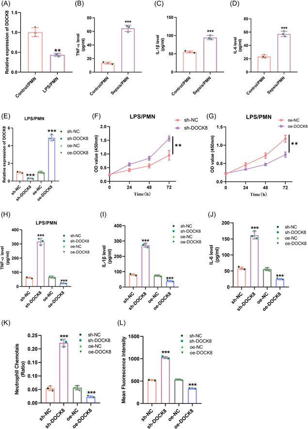 https://cdn.ncbi.nlm.nih.gov/pmc/blobs/603b/10461417/8440a4da60fc/IID3-11-e965-g003.jpg
