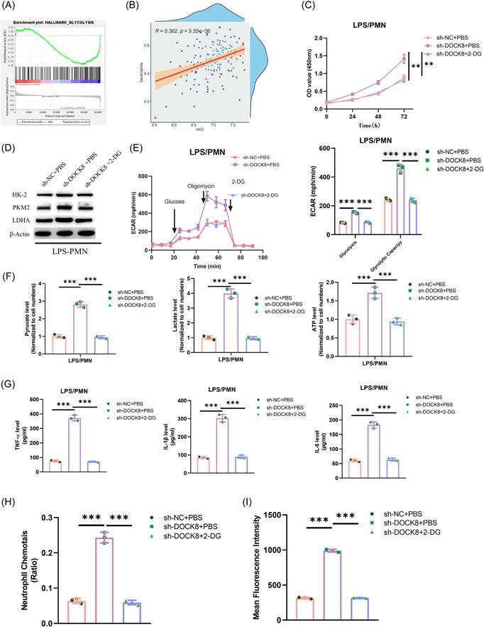 https://cdn.ncbi.nlm.nih.gov/pmc/blobs/603b/10461417/9f4ab540b34a/IID3-11-e965-g005.jpg