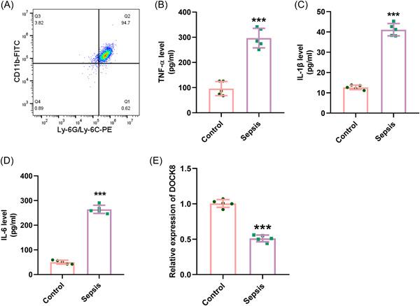 https://cdn.ncbi.nlm.nih.gov/pmc/blobs/603b/10461417/f236a6b87f54/IID3-11-e965-g004.jpg