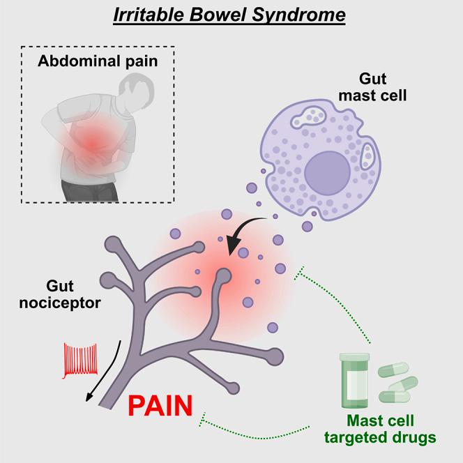 https://cdn.ncbi.nlm.nih.gov/pmc/blobs/603b/11513802/62c60dfa2fc6/fx1.jpg
