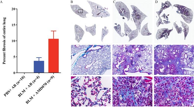 https://cdn.ncbi.nlm.nih.gov/pmc/blobs/603c/4801399/af8f649b0841/pone.0151765.g005.jpg