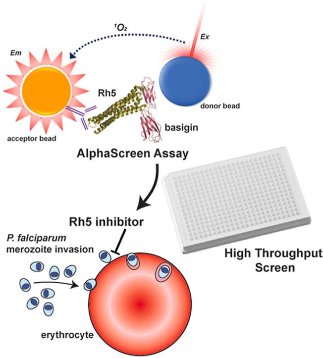https://cdn.ncbi.nlm.nih.gov/pmc/blobs/6040/7645381/62562969efd0/fx1.jpg
