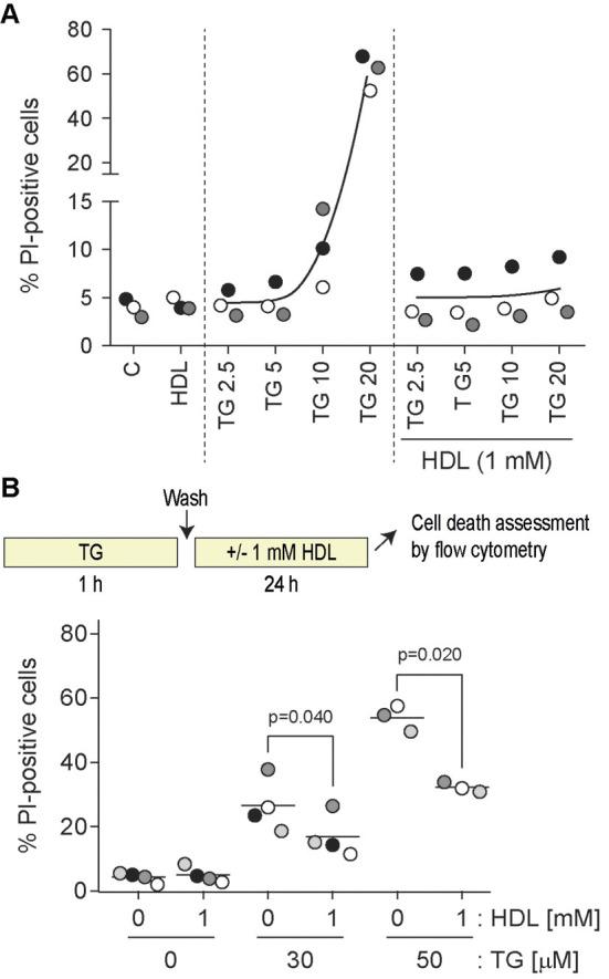 https://cdn.ncbi.nlm.nih.gov/pmc/blobs/6044/8919334/998e796bb875/joces-135-258644-g1.jpg