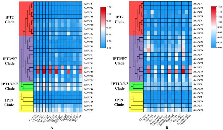 https://cdn.ncbi.nlm.nih.gov/pmc/blobs/6045/10255845/c92f6376b2cc/plants-12-02166-g008.jpg