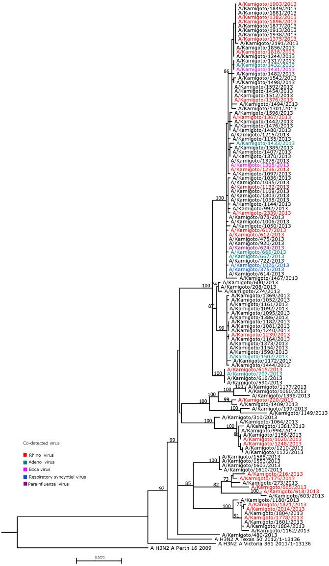 https://cdn.ncbi.nlm.nih.gov/pmc/blobs/6045/11861327/8c15e6b7f040/viruses-17-00152-g003.jpg