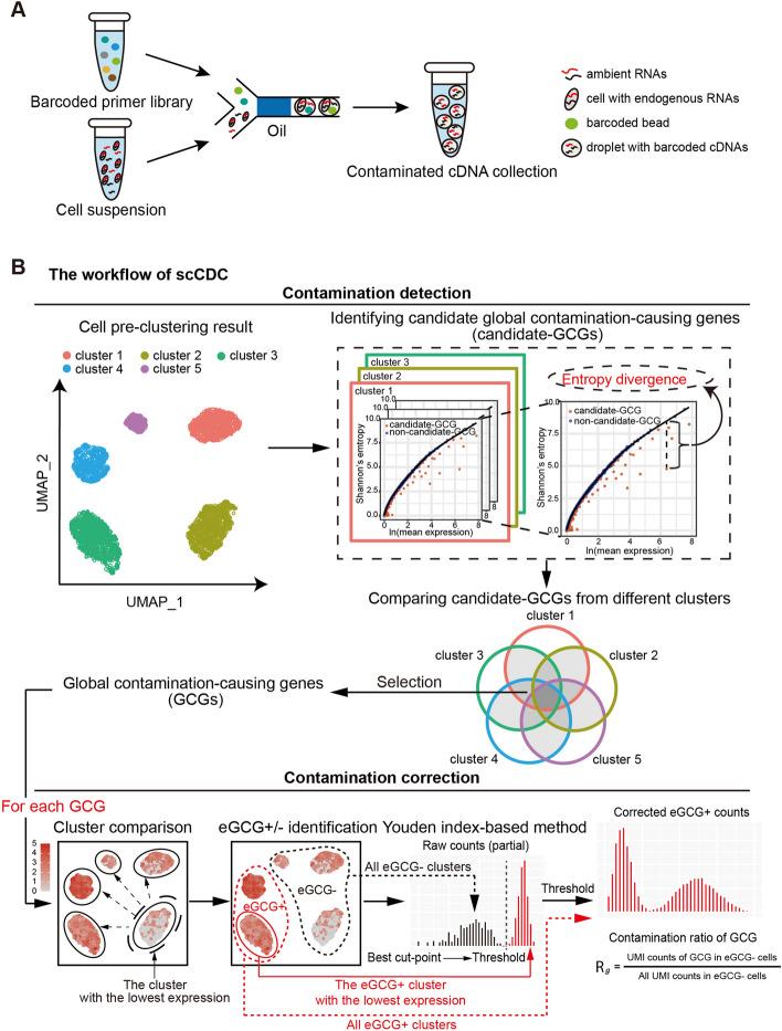 https://cdn.ncbi.nlm.nih.gov/pmc/blobs/6046/11112958/212191aa8e16/13059_2024_3284_Fig2_HTML.jpg