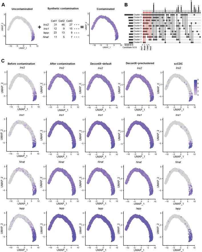https://cdn.ncbi.nlm.nih.gov/pmc/blobs/6046/11112958/ad79776eb93b/13059_2024_3284_Fig6_HTML.jpg