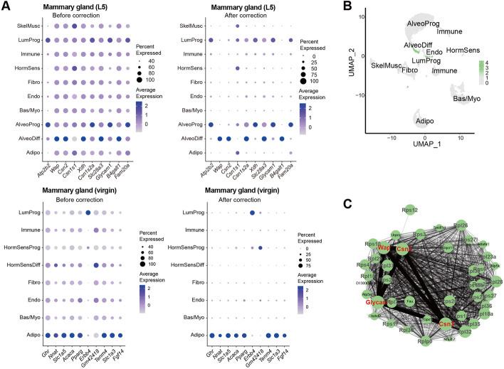 https://cdn.ncbi.nlm.nih.gov/pmc/blobs/6046/11112958/d405fe495b25/13059_2024_3284_Fig7_HTML.jpg