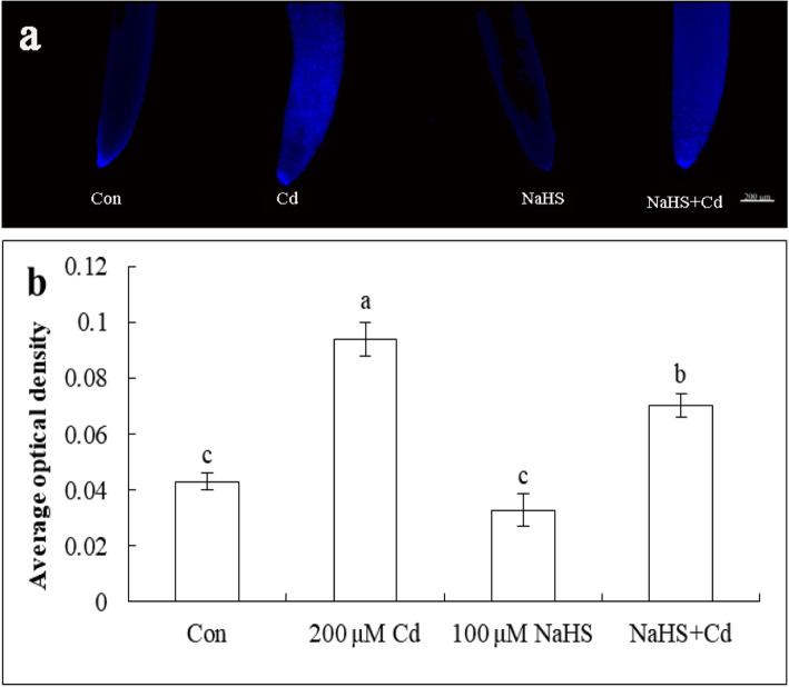 https://cdn.ncbi.nlm.nih.gov/pmc/blobs/6048/7579943/96021b31a311/12870_2020_2687_Fig7_HTML.jpg