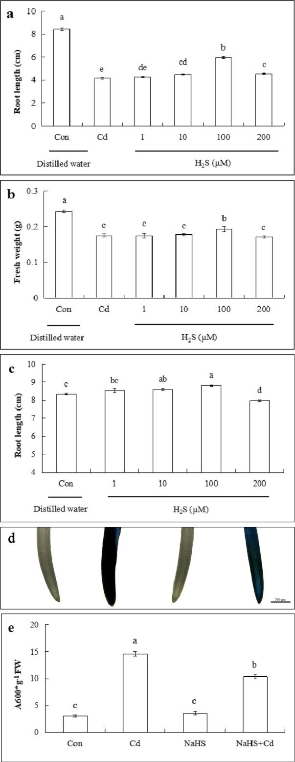 https://cdn.ncbi.nlm.nih.gov/pmc/blobs/6048/7579943/97877660a937/12870_2020_2687_Fig3_HTML.jpg