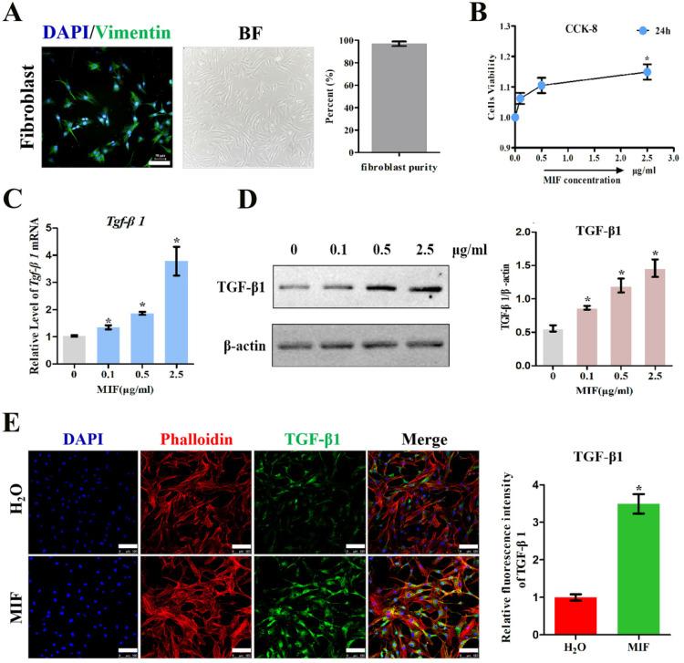 https://cdn.ncbi.nlm.nih.gov/pmc/blobs/604a/8120472/9983a8828539/ijbsv17p1837g003.jpg
