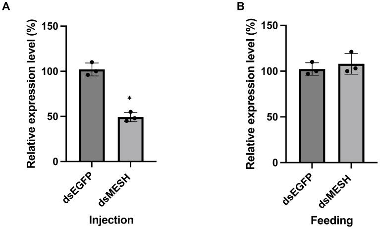 https://cdn.ncbi.nlm.nih.gov/pmc/blobs/604b/12075318/4167f7e78386/finsc-05-1574585-g002.jpg