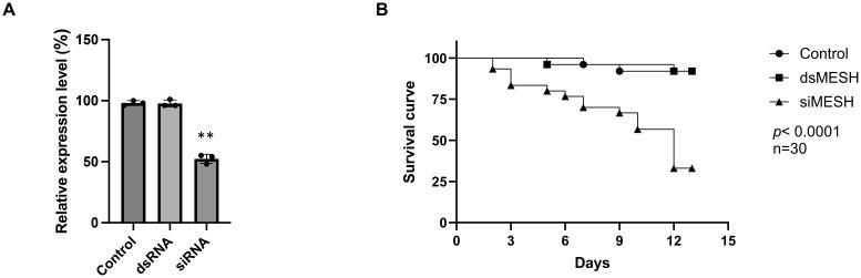 https://cdn.ncbi.nlm.nih.gov/pmc/blobs/604b/12075318/8222b2166716/finsc-05-1574585-g001.jpg