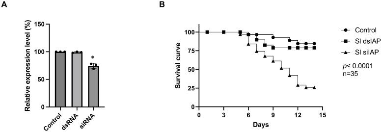 https://cdn.ncbi.nlm.nih.gov/pmc/blobs/604b/12075318/d4cabd00d6ee/finsc-05-1574585-g003.jpg