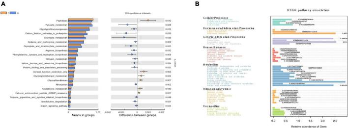 https://cdn.ncbi.nlm.nih.gov/pmc/blobs/604b/8919919/96eeef4876e6/fmicb-12-817615-g004.jpg