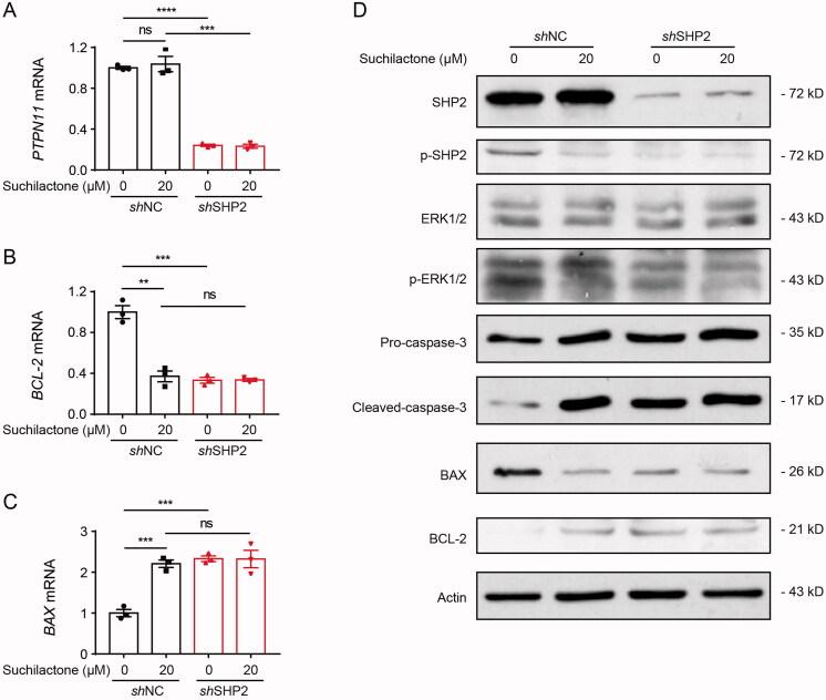 https://cdn.ncbi.nlm.nih.gov/pmc/blobs/604c/8725822/35dc1c38c10b/IPHB_A_2017467_F0006_C.jpg