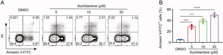 https://cdn.ncbi.nlm.nih.gov/pmc/blobs/604c/8725822/6350842f0d25/IPHB_A_2017467_F0002_C.jpg