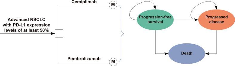 https://cdn.ncbi.nlm.nih.gov/pmc/blobs/604d/9549171/a0fb278ff8a1/fonc-12-878054-g001.jpg