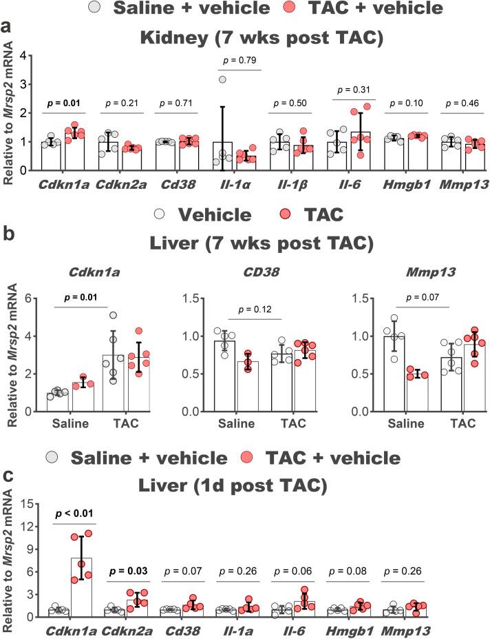 https://cdn.ncbi.nlm.nih.gov/pmc/blobs/604e/12089391/84ef1ddd67c4/41598_2025_1717_Fig5_HTML.jpg