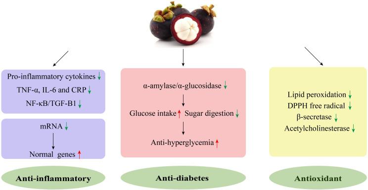 https://cdn.ncbi.nlm.nih.gov/pmc/blobs/6050/10178281/830129b4bd82/peerj-11-15329-g002.jpg