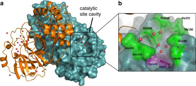https://cdn.ncbi.nlm.nih.gov/pmc/blobs/6052/7314768/7b33dc9822ee/41467_2020_16954_Fig1_HTML.jpg
