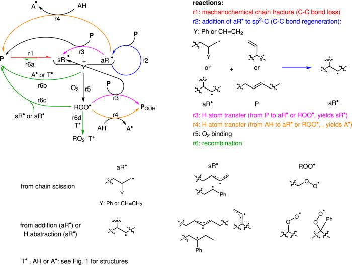 https://cdn.ncbi.nlm.nih.gov/pmc/blobs/6052/9174275/81e3a8bb4496/41467_2022_30947_Fig3_HTML.jpg