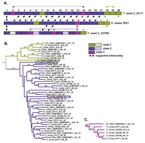 https://cdn.ncbi.nlm.nih.gov/pmc/blobs/6055/2823734/0fd635b3c2a9/1471-2148-10-26-8.jpg