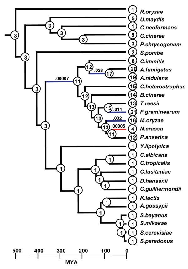 https://cdn.ncbi.nlm.nih.gov/pmc/blobs/6055/2823734/688e45586193/1471-2148-10-26-3.jpg