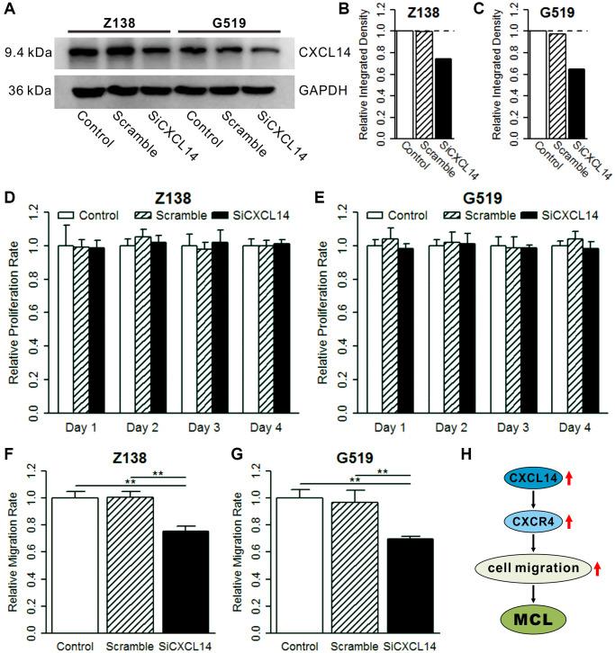 https://cdn.ncbi.nlm.nih.gov/pmc/blobs/6055/9085238/a906274d6c70/aging-14-204022-g005.jpg