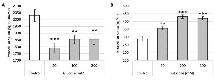 https://cdn.ncbi.nlm.nih.gov/pmc/blobs/6056/8197274/d18b19754e77/ijms-22-05526-g006.jpg