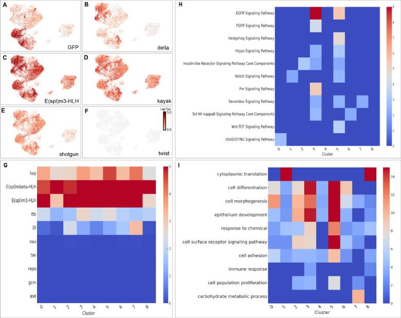https://cdn.ncbi.nlm.nih.gov/pmc/blobs/6059/12405456/5cff323ee8e5/41598_2025_17336_Fig4_HTML.jpg